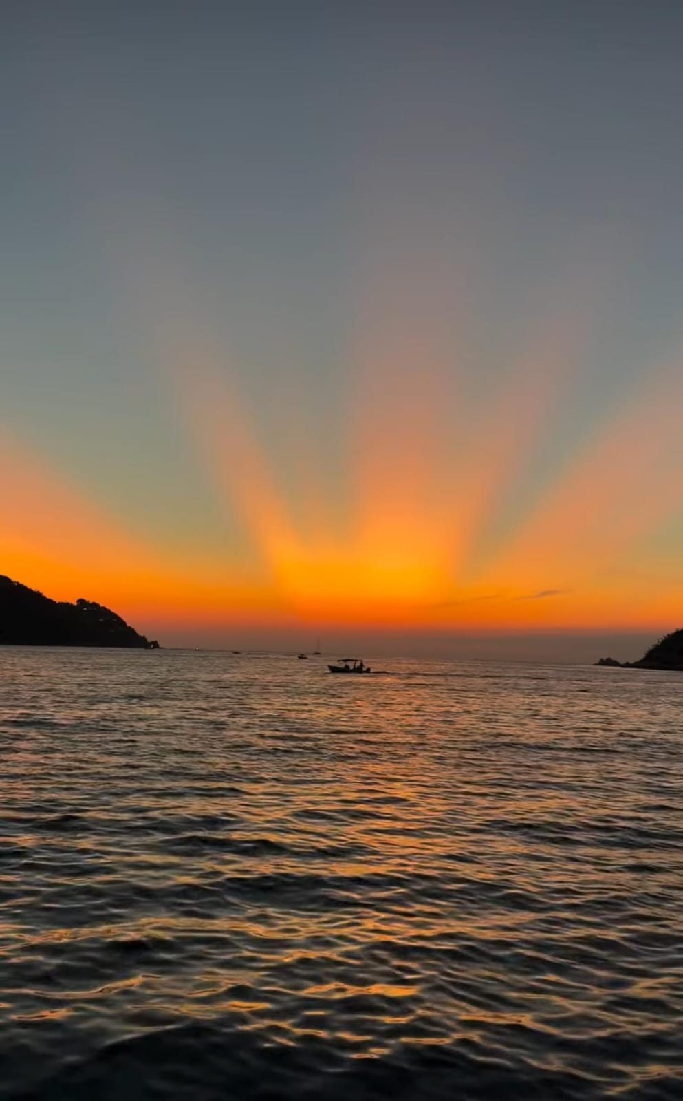 Resonancia Orgánica